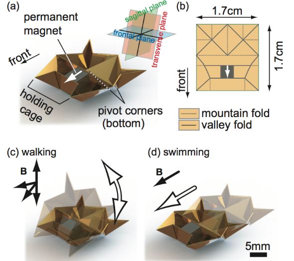 Исследователи разрабатывают робот-оригами