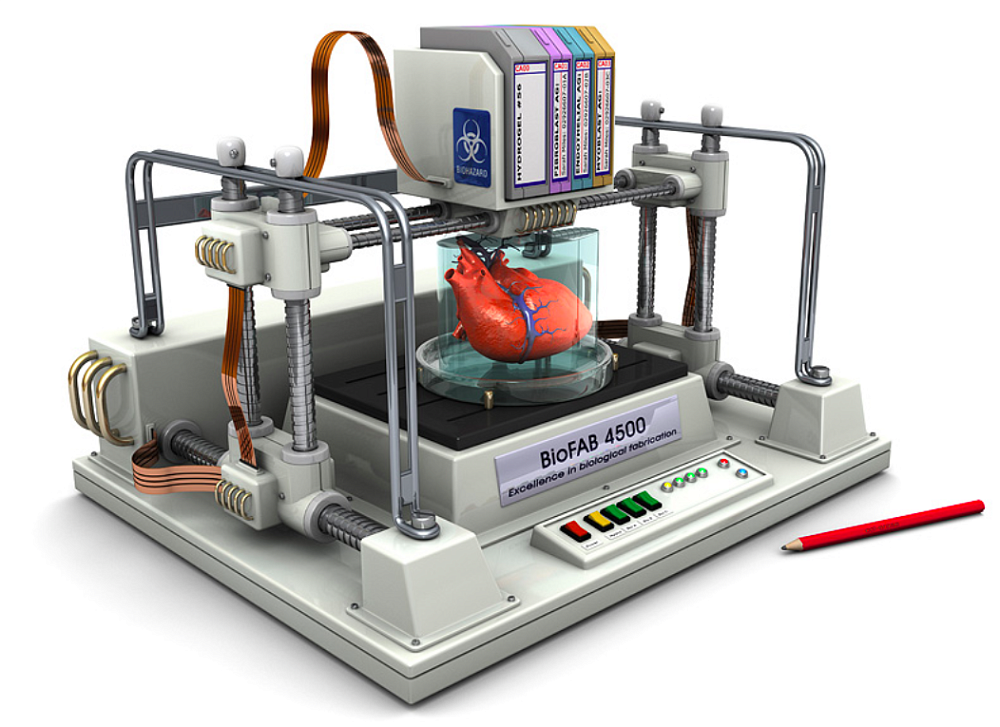 Компания из Индии утверждает, что разработала материал, для печати ткани печени на 3D принтере 