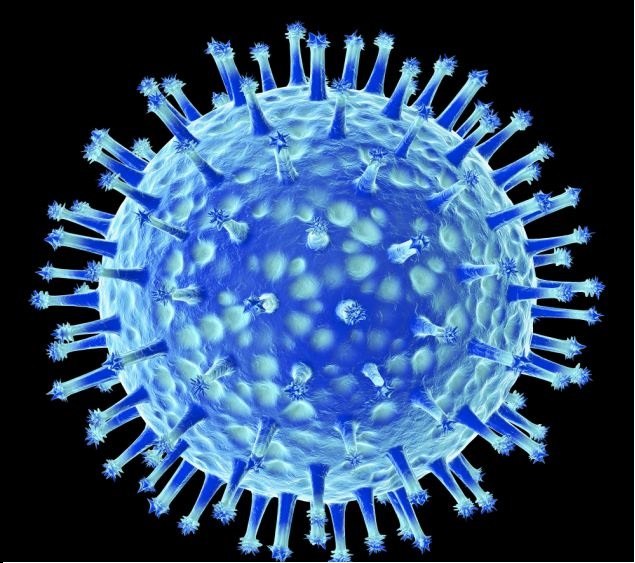 Новый вирус, несущий опасность мировой пандемии