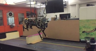 Четырехногий робот-гепард может преодолевать препятствия