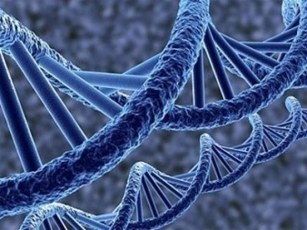 Учеными разработано приложение диагностики генетических болезней по фото